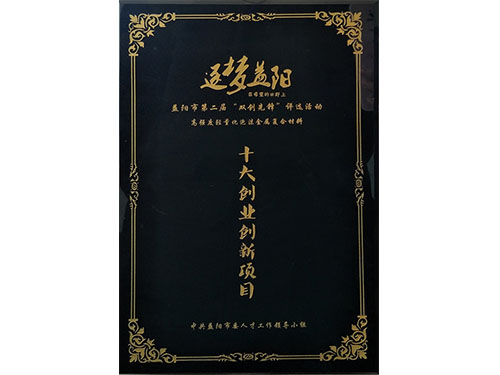 十大創(chuàng)業(yè)創(chuàng)新項(xiàng)目
